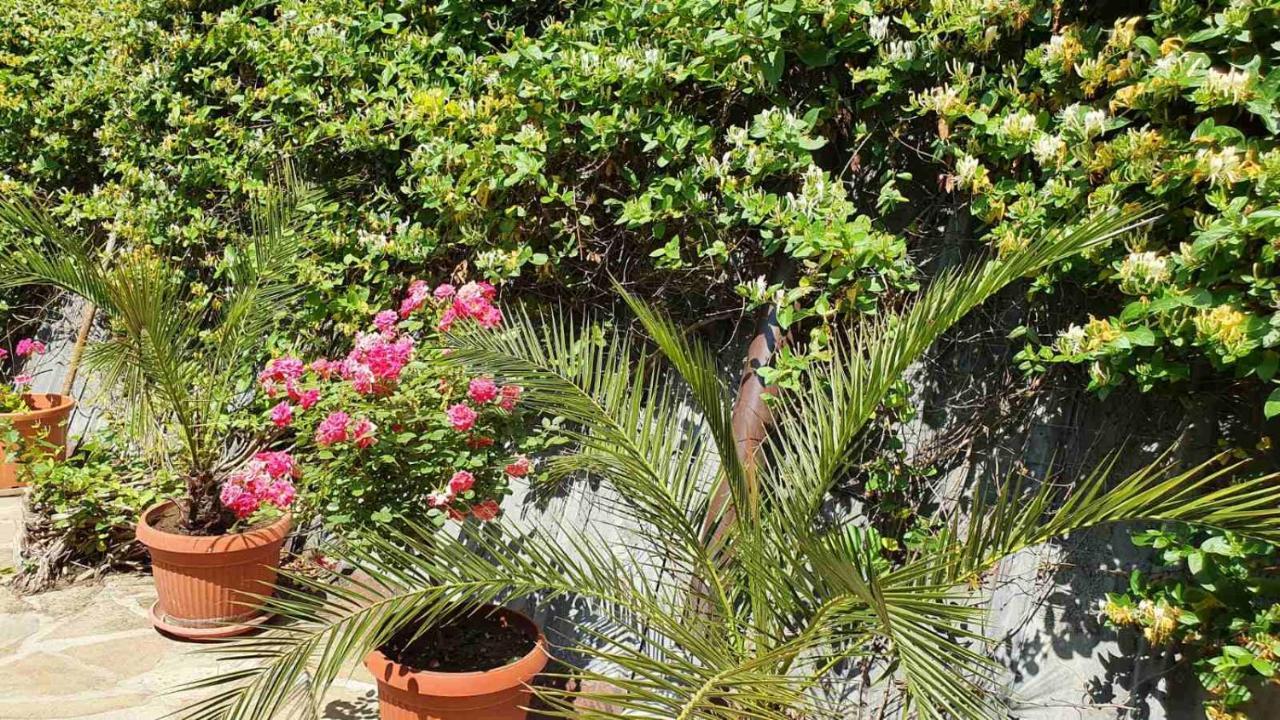 Marianas Guesthouse ابزور المظهر الخارجي الصورة